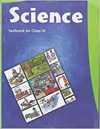 Science - 6
